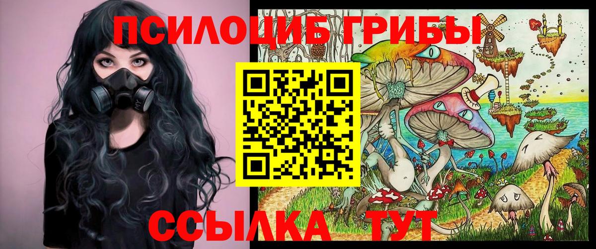 Галлюциногенные грибы Cubensis Лыткарино