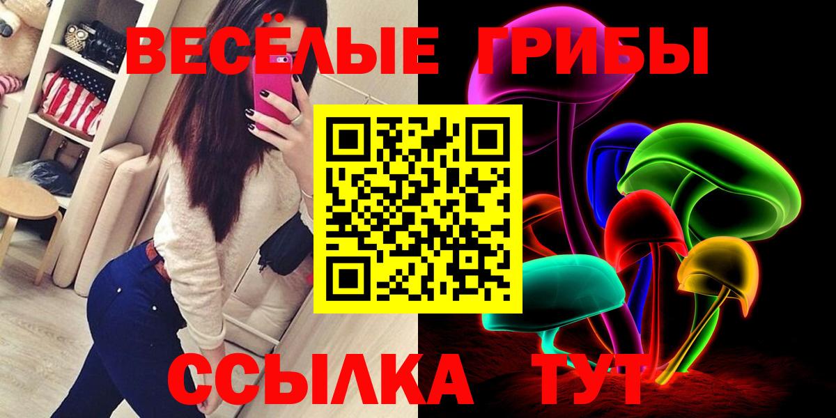 Лыткарино  Галлюциногенные грибы Psilocybine cubensis  Вход с VPN 